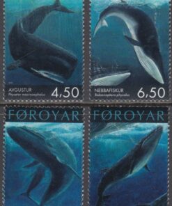 walvis achtigen <br>