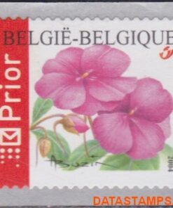 impatiens