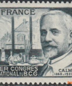bcg congres <br>