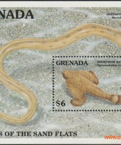 onderwaterfauna <br>